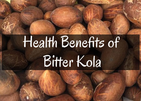 Health Benefits of Bitter Kola