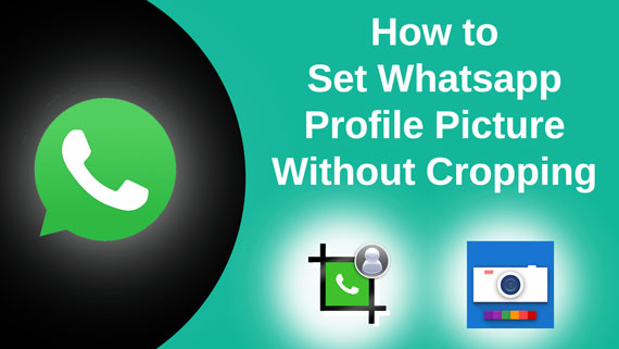 Setup Whatsapp Profile Picture or Dp Without Cropping